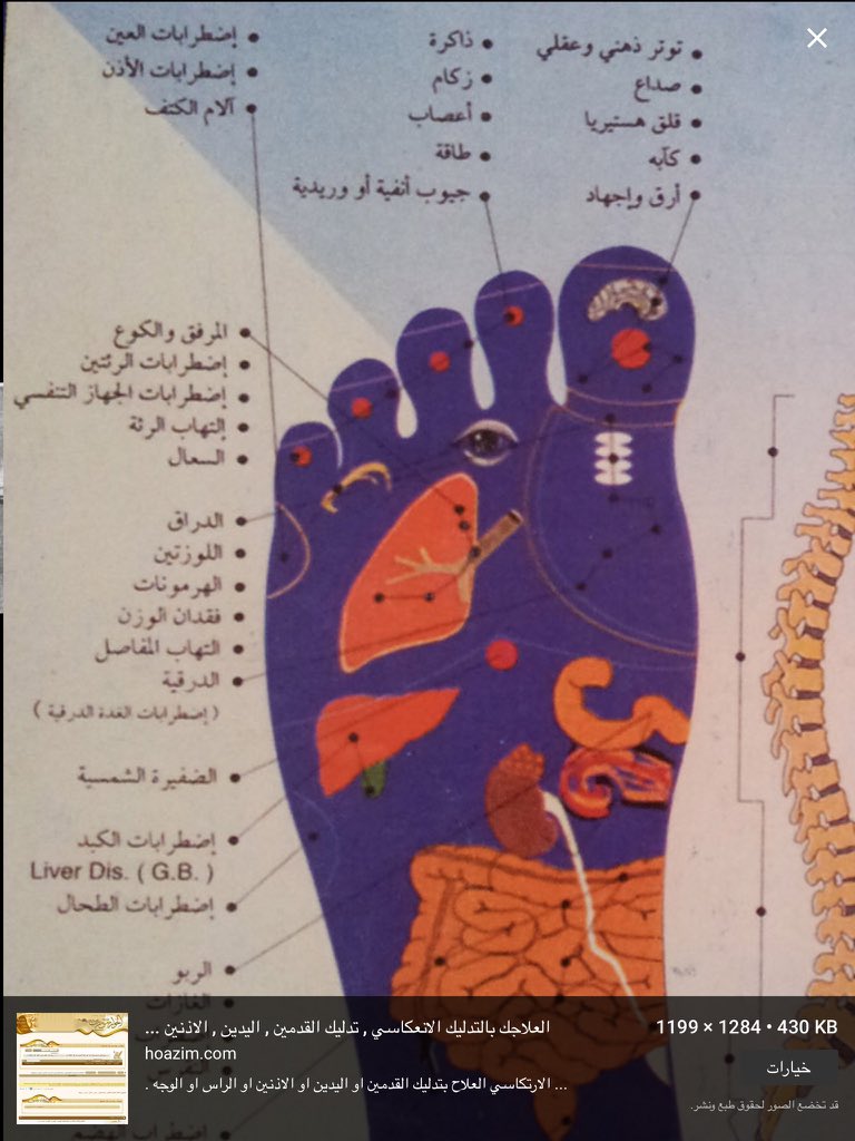 الوخز بالإبر No Twitter ويقوم طب القدم في الطب الصيني والريفليكس على مسأله التعرف على خريطة القدمين Https T Co Mkhvzfakym Twitter