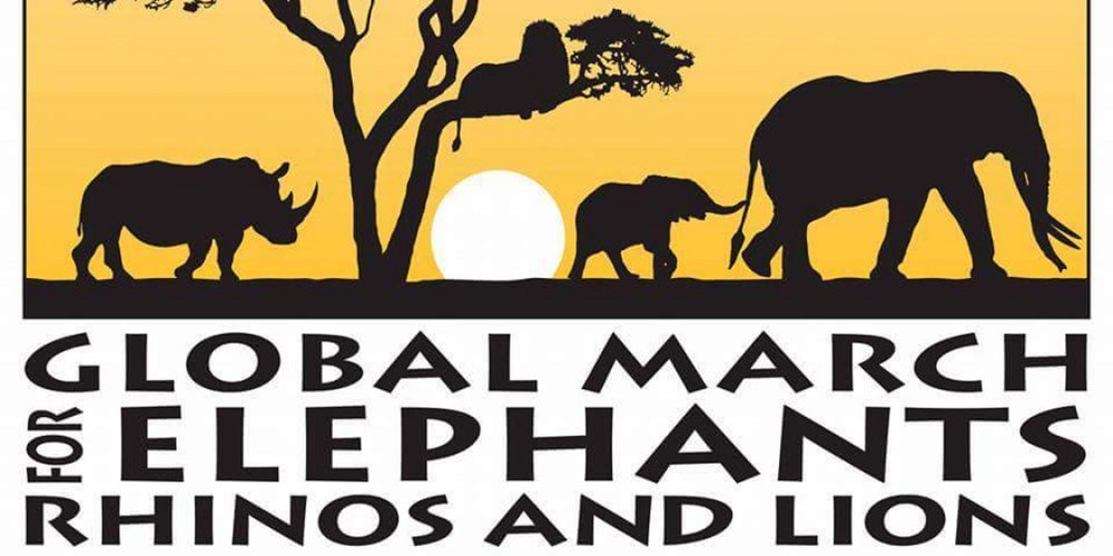 GiverAus's tweet photo. If you can't march, be sure to support the event through GiverAUS, go to special fundraisers and donate for as little as $5 #support #africa https://t.co/GoJlZR5rwI