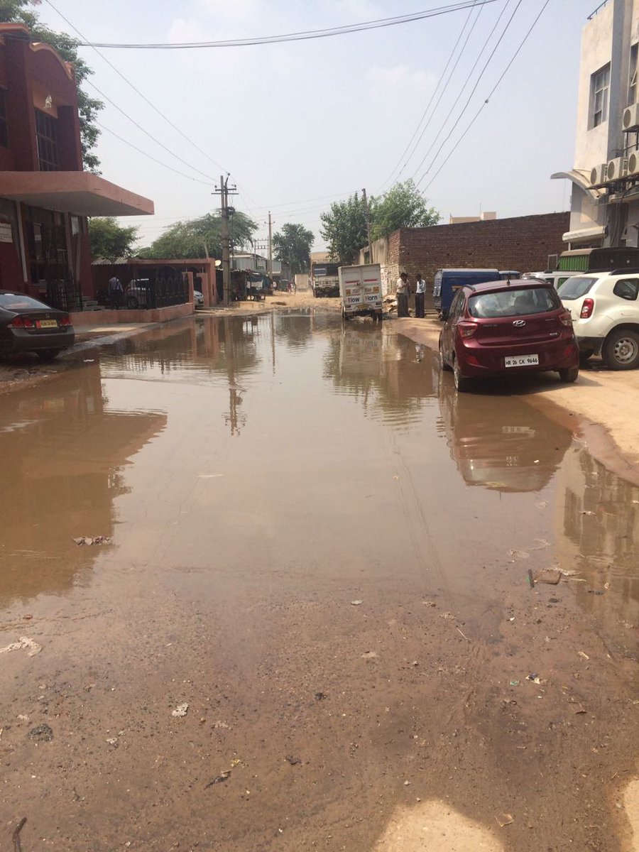 Bindu Satheesh tweet media