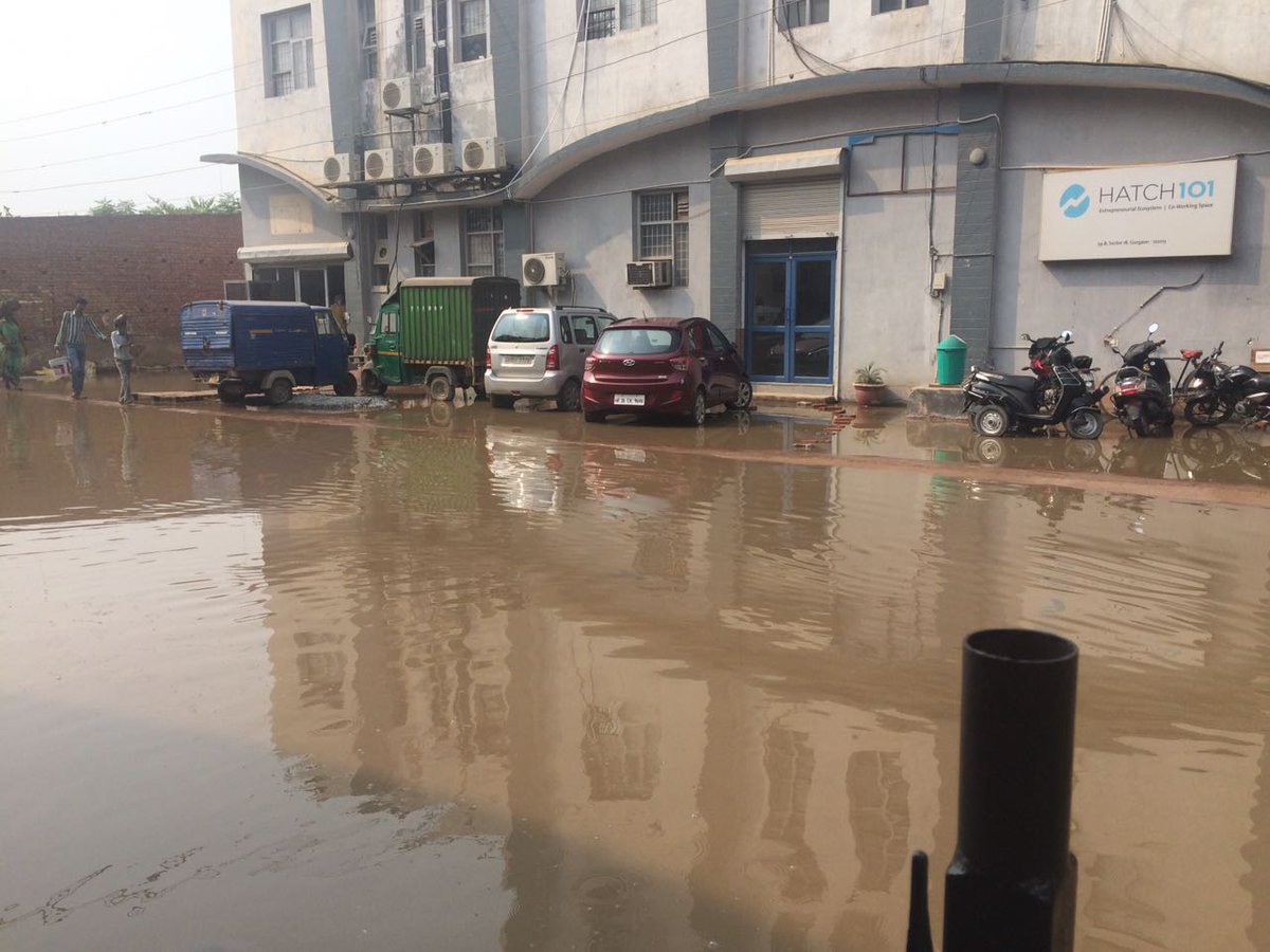 Bindu Satheesh tweet media