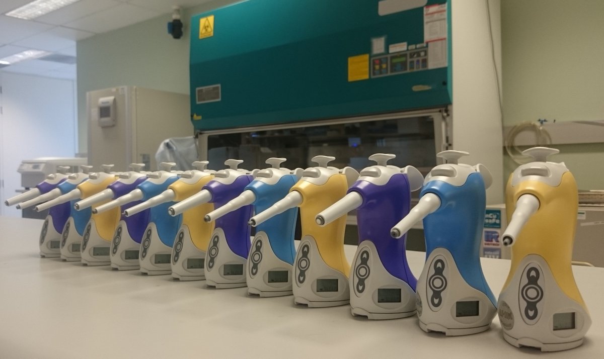 Interpath Services tweet media