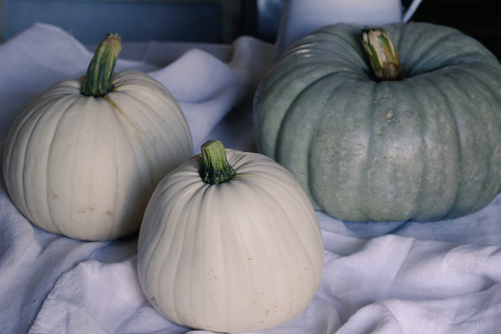 MaisonBrocante's tweet photo. I will be at Treaclemarket on Exchange st this Sunday ,do pop by! #pumpkin #french #linen https://t.co/pgkZo0XX2F