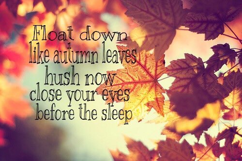 purpleamma1's tweet photo. #ItsFinallyAutumn ππππππππ
I only have one thing to say @edsheeran :
#BringOnAlbum3 βΌοΈ
Happy 1st day of Autumn! π»π https://t.co/uQHWgTlE3X