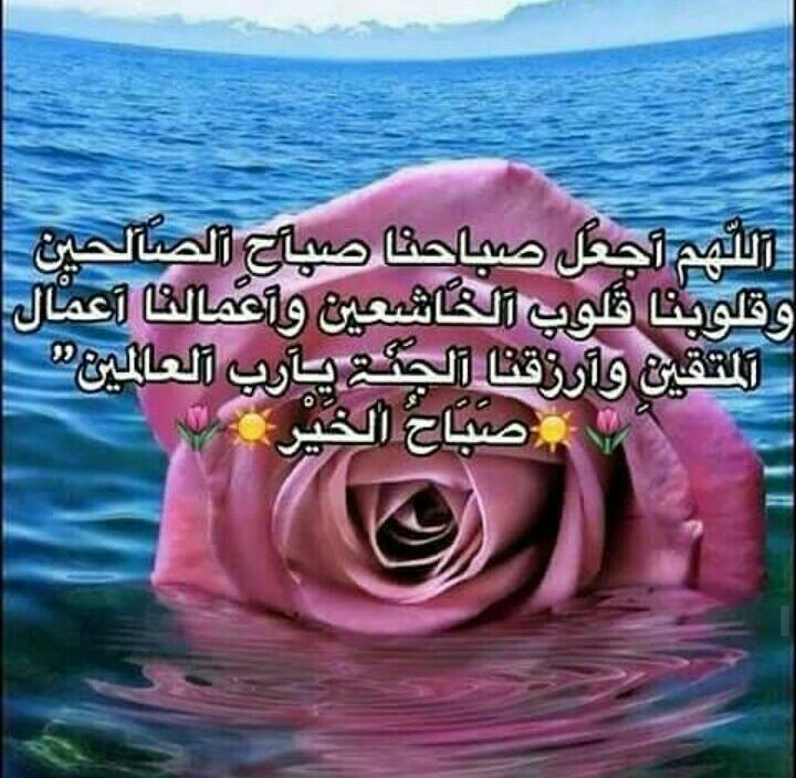 omfaisal05553's tweet photo. صباح الخير  #حبيب_الصبح https://t.co/TE2NvunZlV
