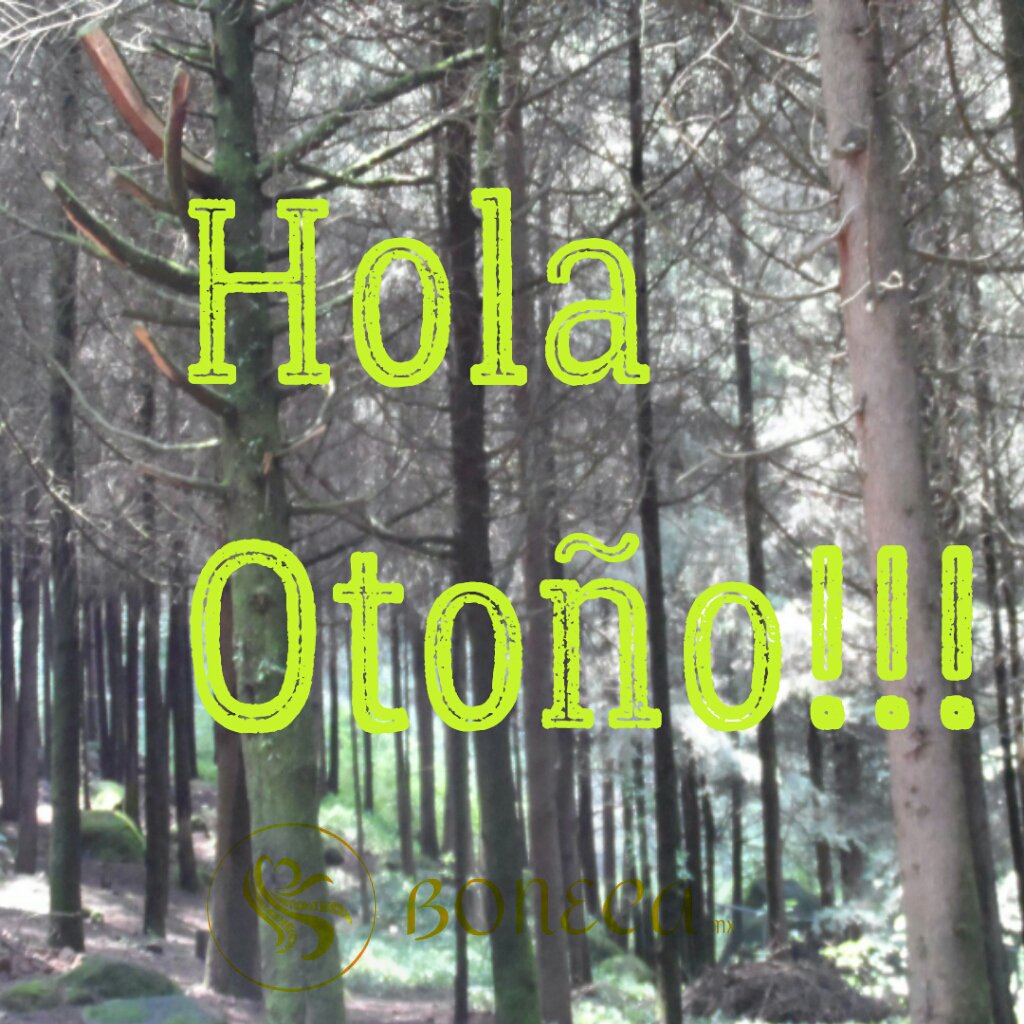 BonecaMX's tweet image. Boneca se está preparando para esta nueva temporada!!!