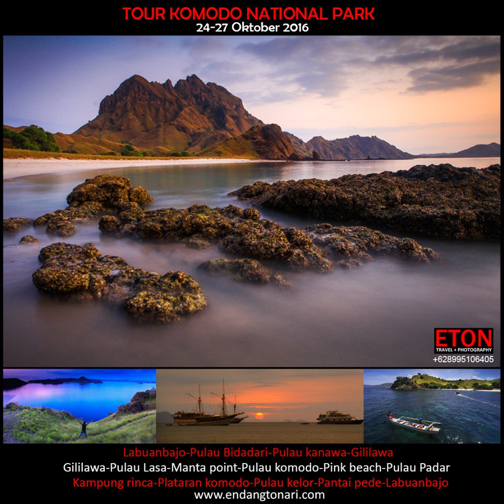 Komodo Tou Oktober 2016 endangtonari.com/komodo-tou-okt…