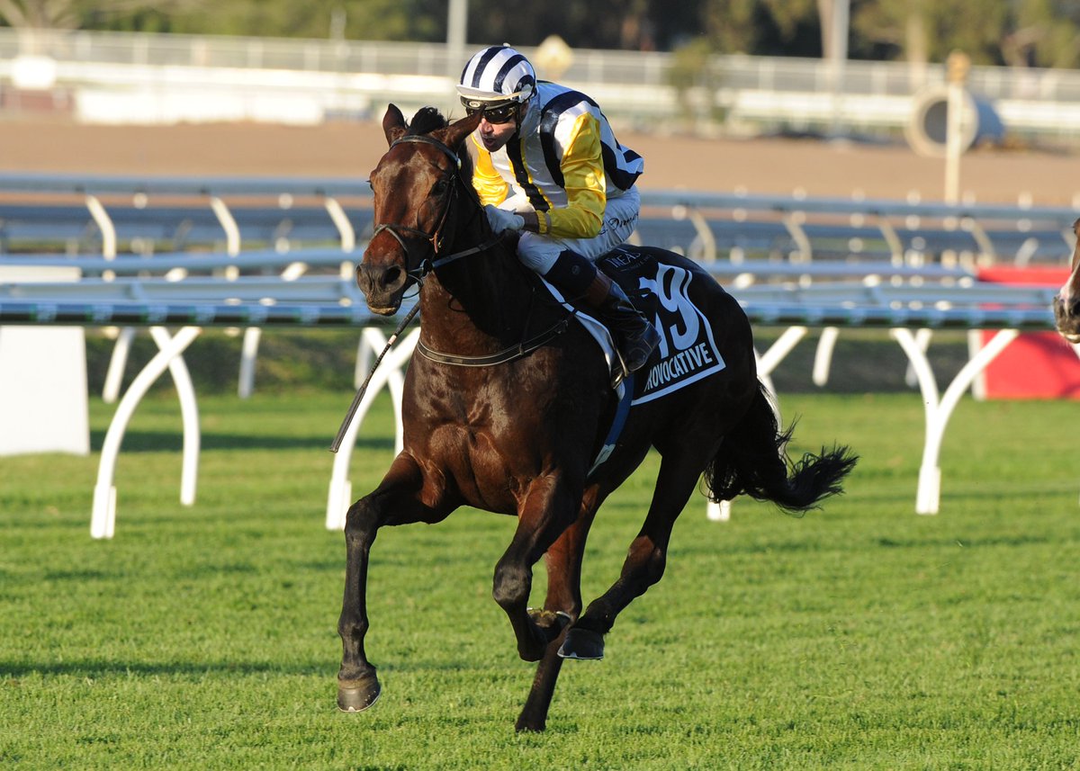 NZ Racing News (@nzracingnews) on Twitter photo <a href="/PikeRacing/">Pike Racing</a>'s #Provocative has a date with <a href="/CambridgeStud/">Cambridge Stud</a>'s #Tavistock racingnews.co.nz/blog/post/1242… <a href="/PikeRacing/">Pike Racing</a>'s #Provocative has a date with <a href="/CambridgeStud/">Cambridge Stud</a>'s #Tavistock racingnews.co.nz/blog/post/1242…