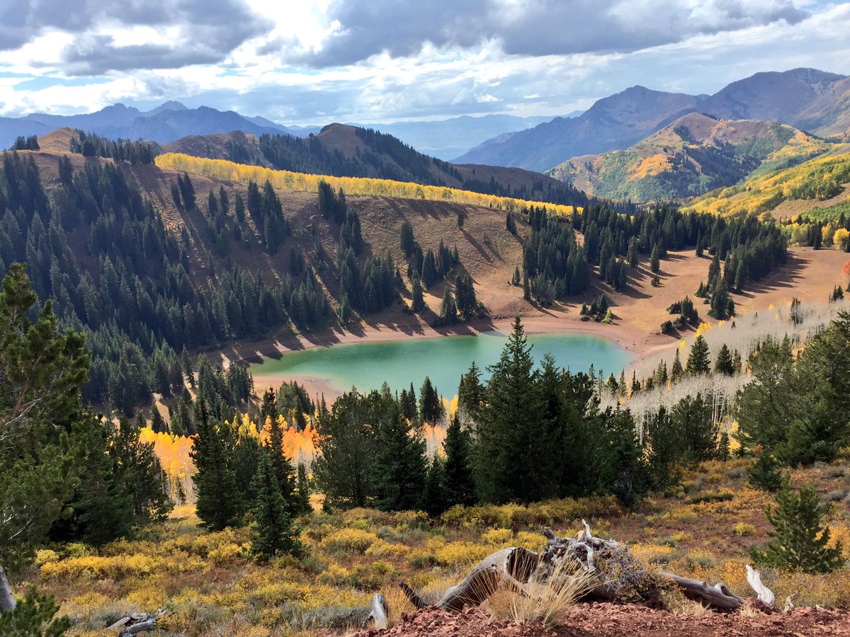 ExploreEndure's tweet photo. This is the most beautiful run that I've ever been on. What an amazing place.
#Utah #WasatchCrest #trailrunning https://t.co/3Hi1LhEPIr
