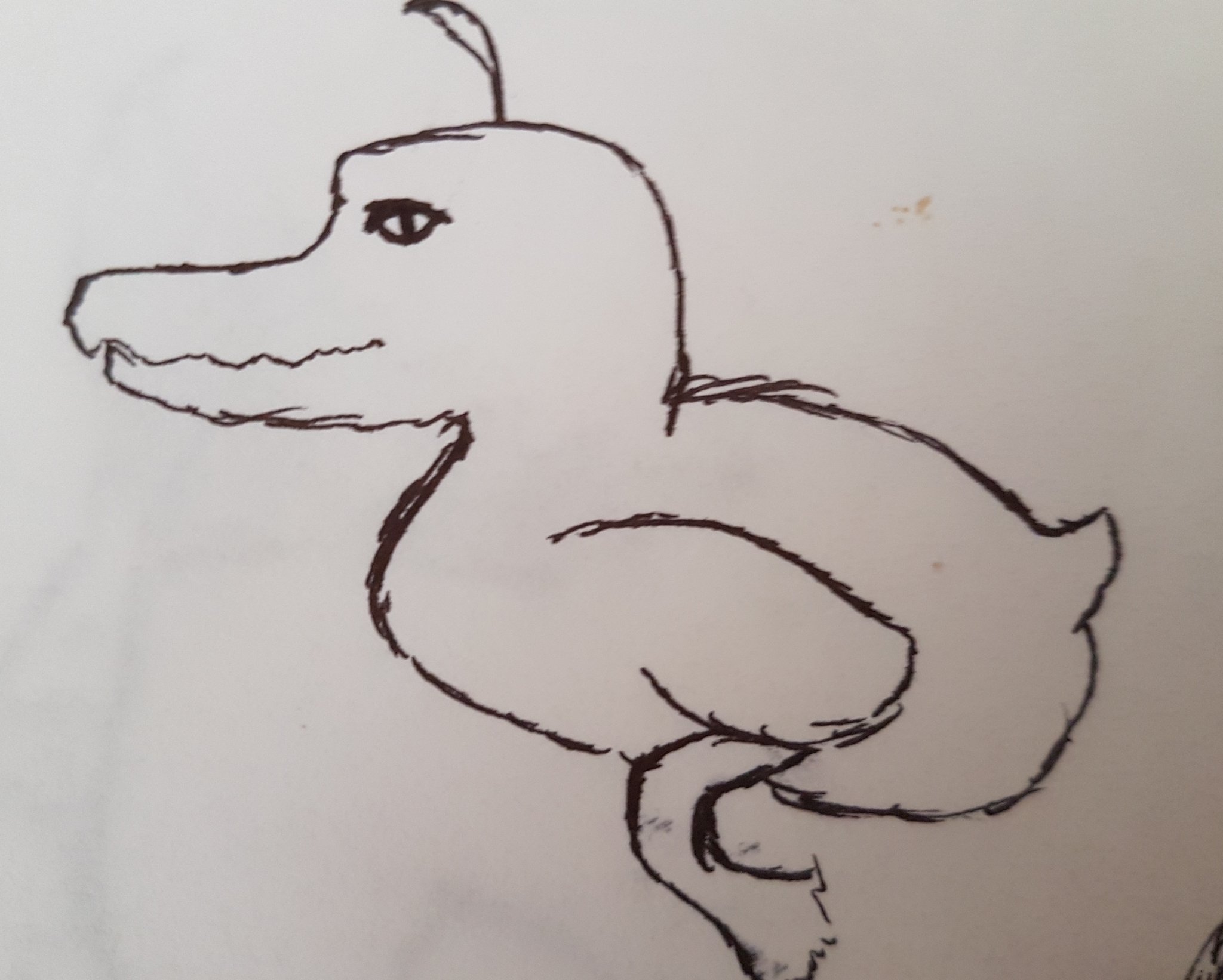 Weird Things To Draw
