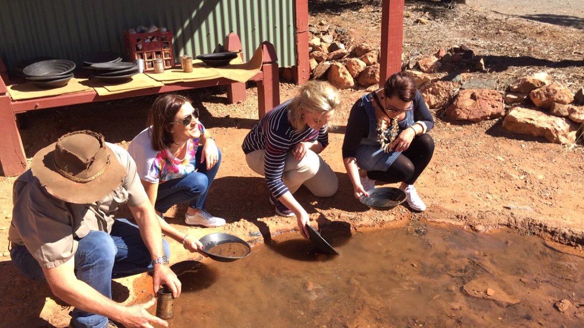 eecwaus's tweet photo. @eecwaus @PerthCB the girls trying  hard to supplement their income! #kalgoorliegold https://t.co/EiwoZ5kQfp