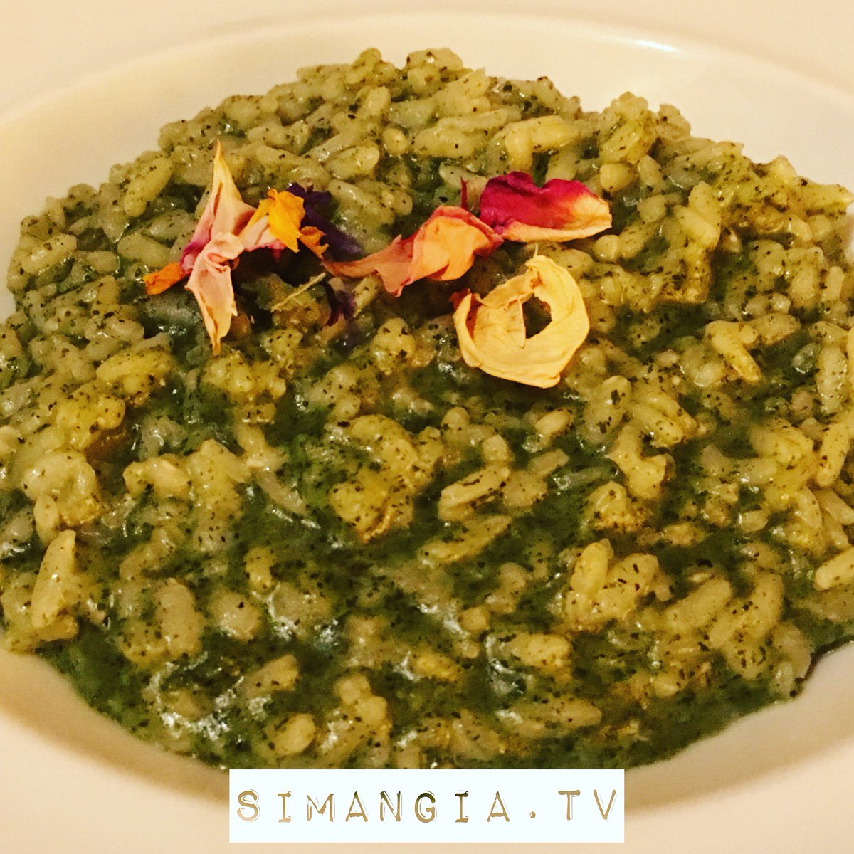 SIMANGIATV's tweet photo. #risotto with #nettles #ortiche #italianfood #yummy #foodie #organic #bio #organicFood #rice #Italy #foodislove #art https://t.co/LOP3s2YdRt