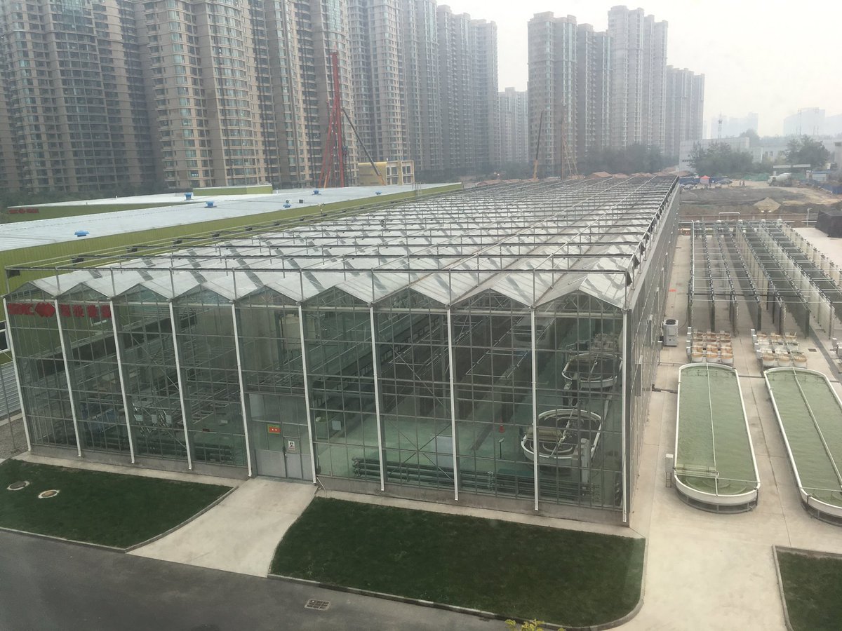 jamcgowen's tweet photo. Excited to participate in 3rd SDIC Microalgae Biotechnolgy Symposium today in Beijing! @ASU_AzCATI #ATP3 #algae https://t.co/uKyW7psg1x