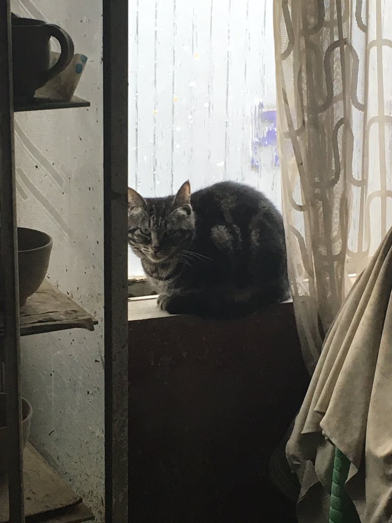 アフリカレーヨン (@africarayon) on Twitter photo 