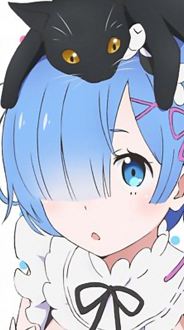 レム生誕祭のtwitterイラスト検索結果 古い順 レム生誕祭のtwitterイラスト検索結果 古い順