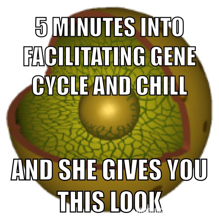 nuc_lead_us's tweet photo. #justnucleusthings https://t.co/SZqJ9IpPWp