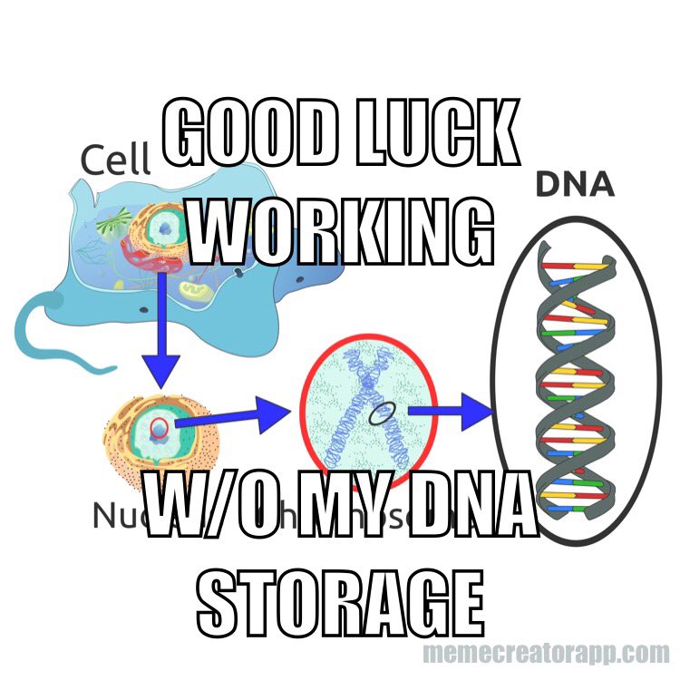 nuc_lead_us's tweet photo. Another reason Nucleus is the obvious choice for Organelle in Chief #ImWithNucleus https://t.co/K0DxNZPZNY