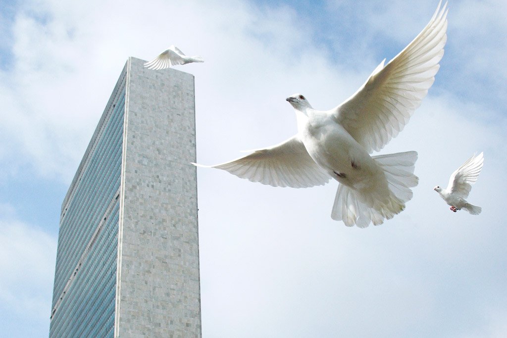 ONU_fr's tweet photo. #UNGA ce qu'il faut retenir de la 2ème journée du débat général https://t.co/83kURb24bY 
#Pledge4PBF #EndExecutions #Syrie #CTBT #PeaceDay https://t.co/S0OBwo7M8E