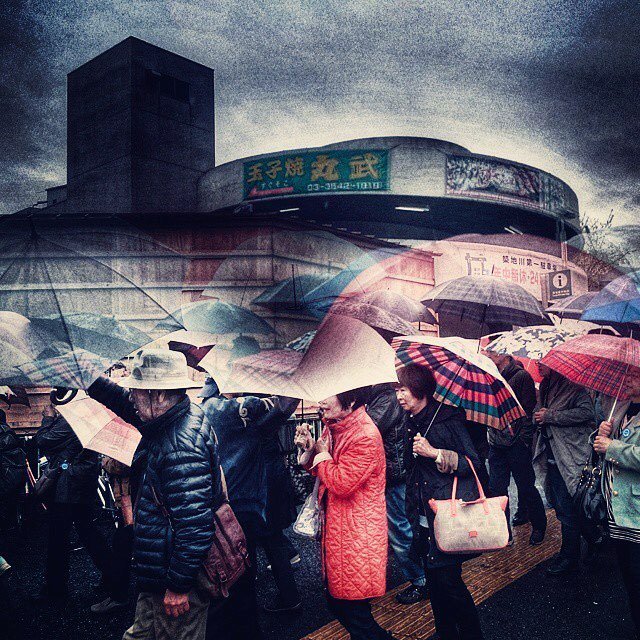 nerorism's tweet photo. 築地市場 @？ #tagsapp #bestphotos #photographer #instapicture #instapicdaily #photographers #ar… https://t.co/m1MC4j08hd https://t.co/39rBmj4Q9V