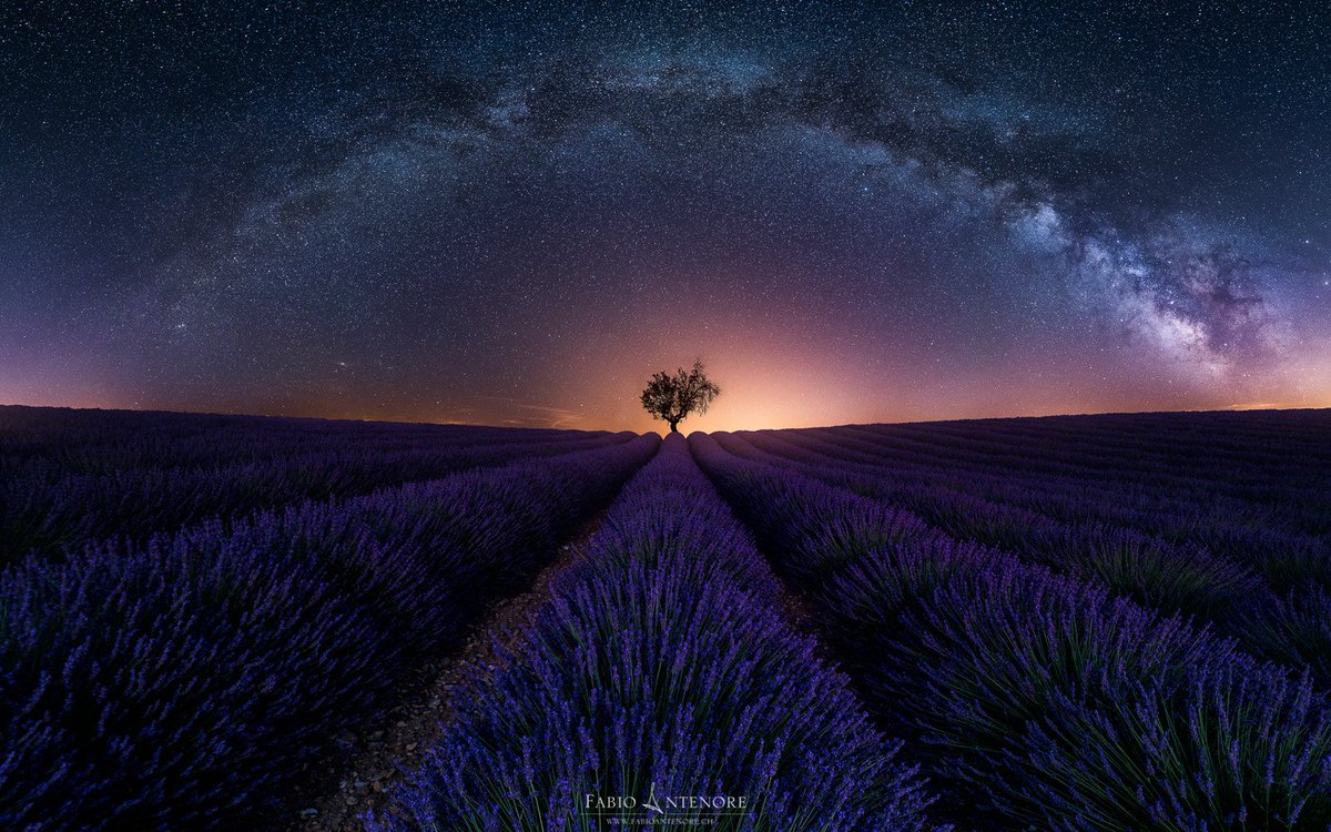 B_Ubiquitous's tweet photo. Purple Arch  
#photography by Fabio Antenore  
#Switzerland #MilkyWay #fineart #fotografia #space #galaxy #wanderlust #photo #art #travel 🇨🇭 https://t.co/ci0nxDzdk2