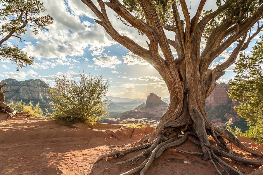 #Sedona #sunset #Arizona #schneblyhill