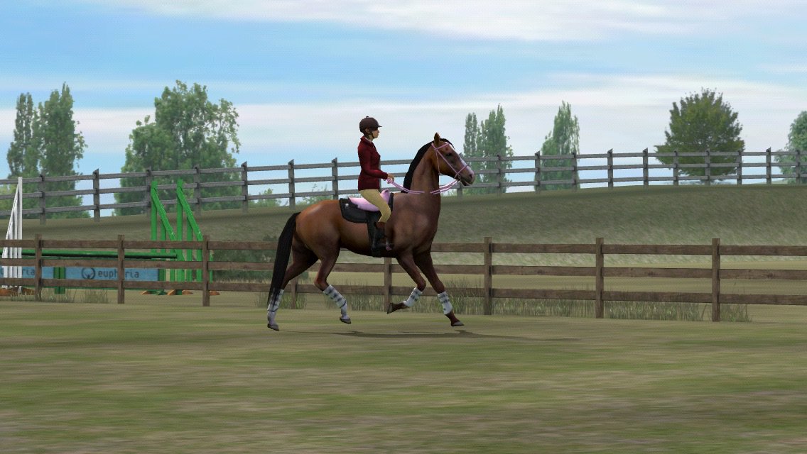 Houndology's tweet photo. Check out my photo! Add me, Ahnaliece. #MyHorse  https://t.co/X3NdhsICCV https://t.co/YzRfdBipmx
