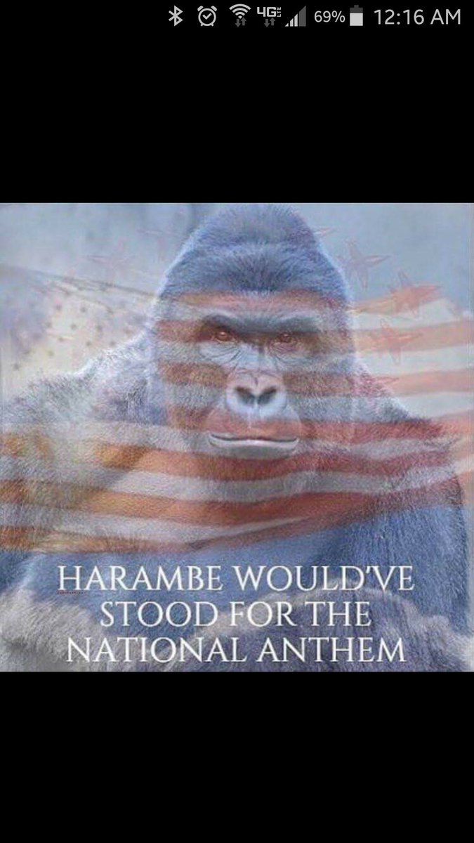 therealwilliamv's tweet photo. #Harambe https://t.co/07JHLGsjoc