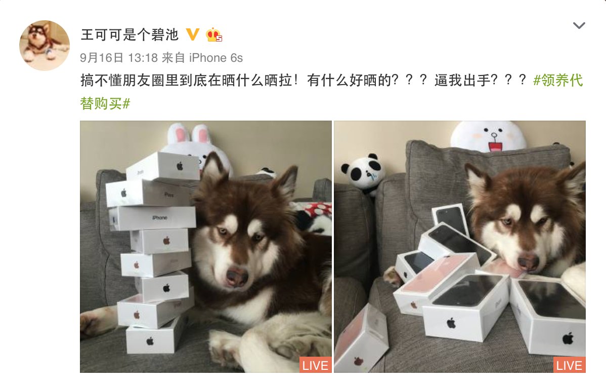 China's richest dog now has 8 new iPhones. weibo.com/5194257804/E8w…