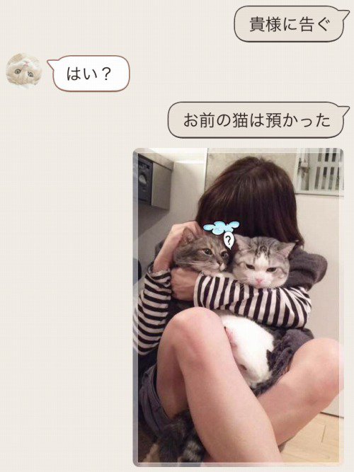 うだま裏アカ ヘッダー変えた 夫婦のline お前の猫は預かった T Co Sqfkabtxuy T Co Qexmz5qo7o Twitter
