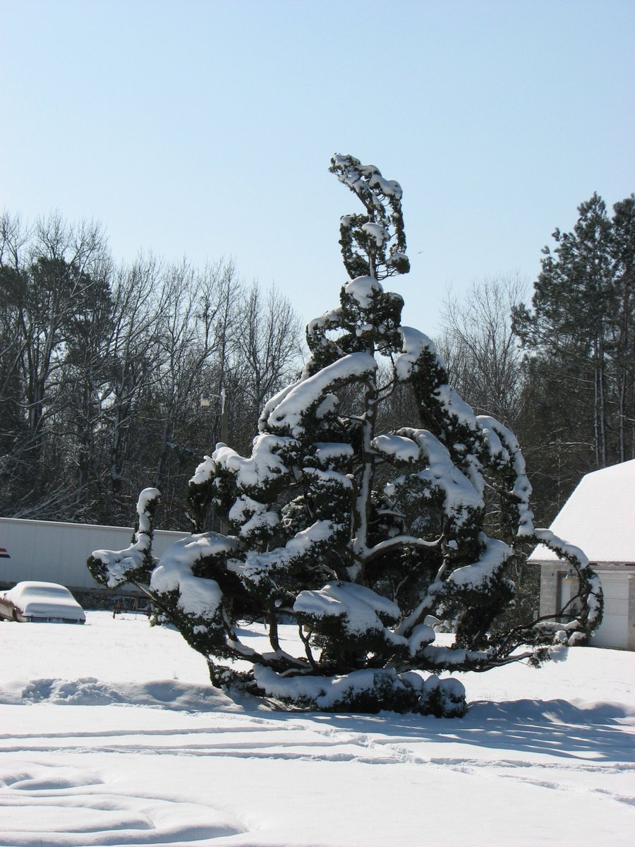 Pearl's garden after a heavy snow fall in February 2010! Photo by Jean Grosser. #TBT #ThrowbackThursday