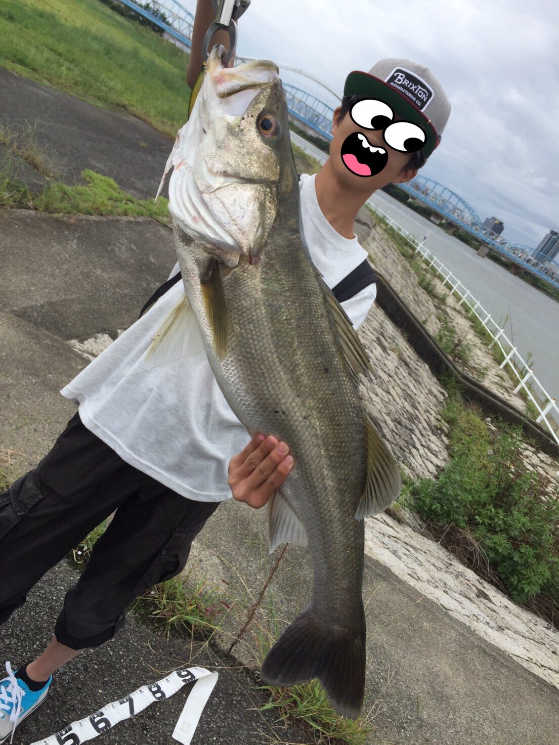 たけもツ Twitterissa 淀川毛馬水門でシーバス これは今まで一番嬉しいかも笑 太ってた T Co Crnx Twitter