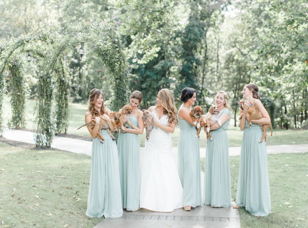 enews's tweet photo. Who needs traditional bouquets at your wedding when you can have puppies? https://t.co/HzT5Z0aLMp https://t.co/ckc2Ynn5bP