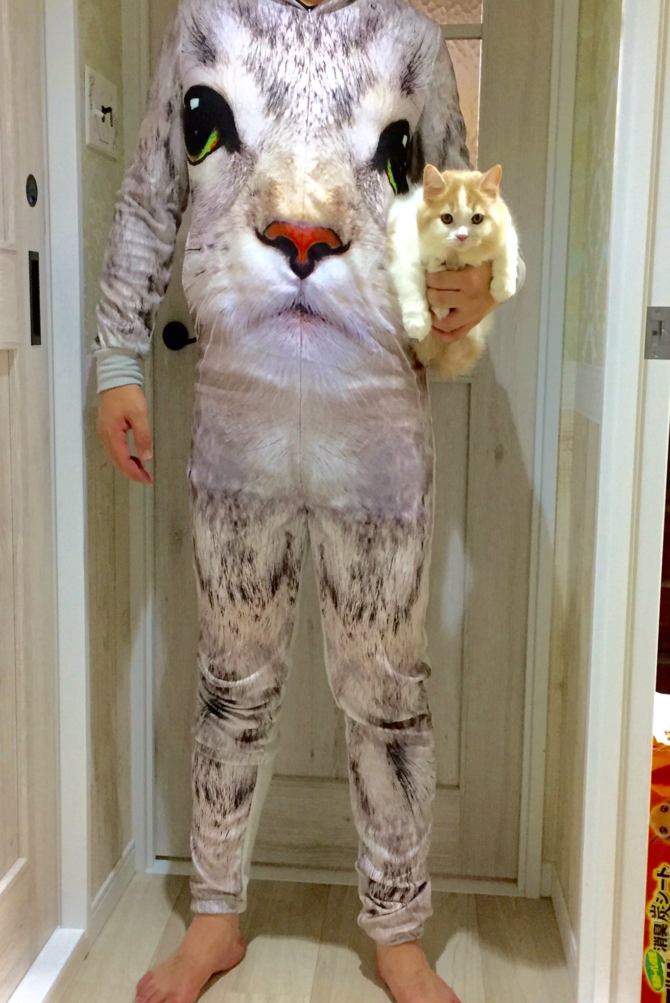 画像 猫好き男子のホームウェア フライングタイガーで 900 T Co Iimqicngbz Matomehub まとめハブ