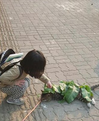 natewang128's tweet photo. In my way home, that was what i saw. You will be a lucky girl. https://t.co/qZgeBtBlcb