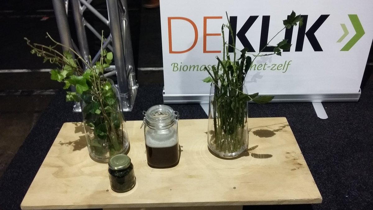 Toepassingen gezocht voor klimop en bramentakken. Idee of biobased inspiratie nodig, bijv reiniger? Kom langs, stand 23 #Emmtec <a href="/BBE_Emmen/">BBE Emmen</a>