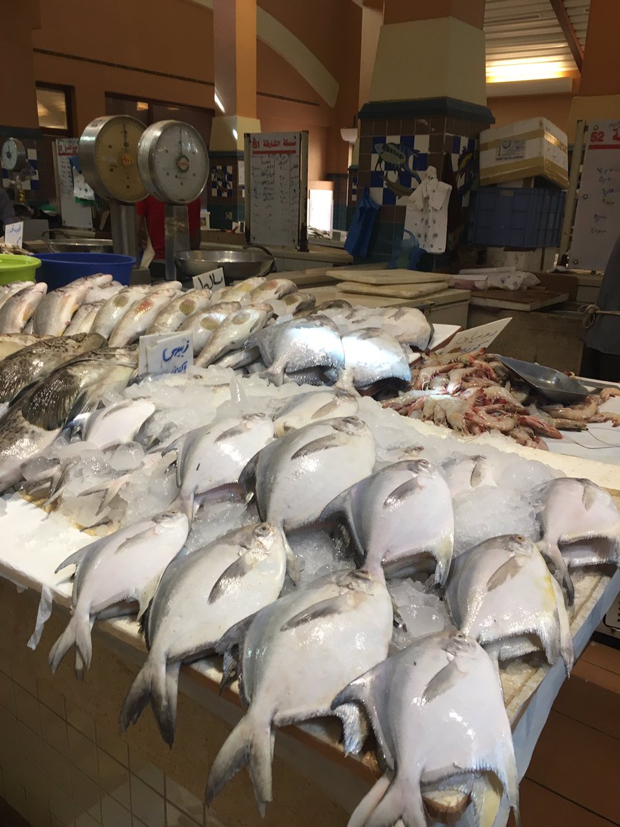 قال الشيخ ليل المتلقم:
ماناكل الا حِيل واذناب خرفان....وانتم مخانيز السمك تاكلونه​

طبعا هالكلام قبل 150 سنة وقبل الكولسترول وتصلب الشرايين