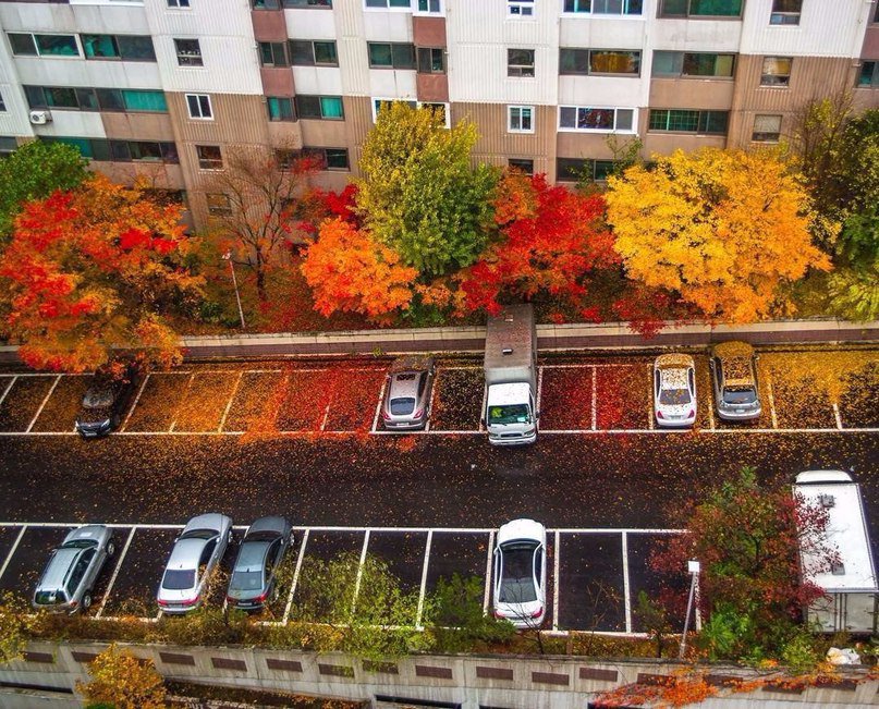 За такие прекрасные моменты я люблю осень! 
#автоTо #авто #avto