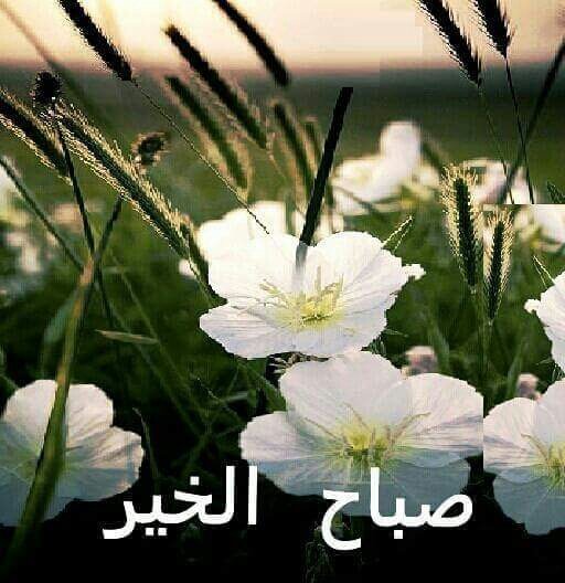 <a href="/asdf333762/">ابوسجاد الموسوي 2</a> <a href="/38_ero/">ابو عباس خادم الحسين</a> <a href="/AhmdHamedkazm81/">AHMD KATHEM</a> <a href="/nadaznhm621/">ندى.....</a> <a href="/yfgh9988/">أنبل إحساس</a> @abassagerjasemm <a href="/Fa64Ali/">Fatima Ali</a> @wrood_313 وحياتك فرح وسرور