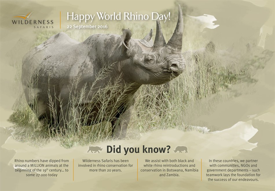 WeAreWilderness's tweet photo. On #WorldRhinoDay we celebrate these magnificent animals via our conservation highlights https://t.co/nKeFY8zqK2 https://t.co/34MrJZPMYy