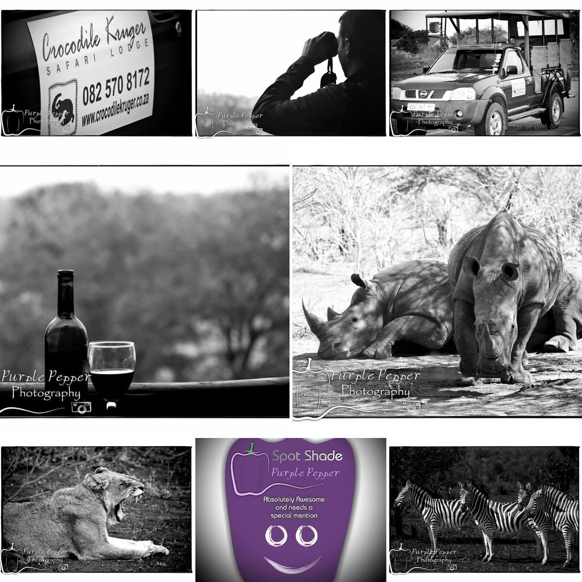 Purple_Pepper's tweet photo. Awesome safari with @crocodilekruger 
@purplepepper45 #safari #kruger #vacation @Stayat18oncoral #wildlife https://t.co/fSIriWLuuX