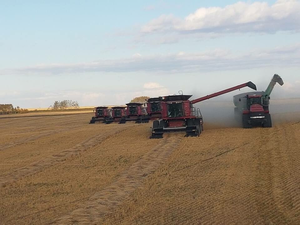 LoweTyson's tweet photo. Beginning of a bottleneck... Taken by @RMEHQ mechanic "superman". @Case_IH #harvest16 https://t.co/1ycNr95FyH