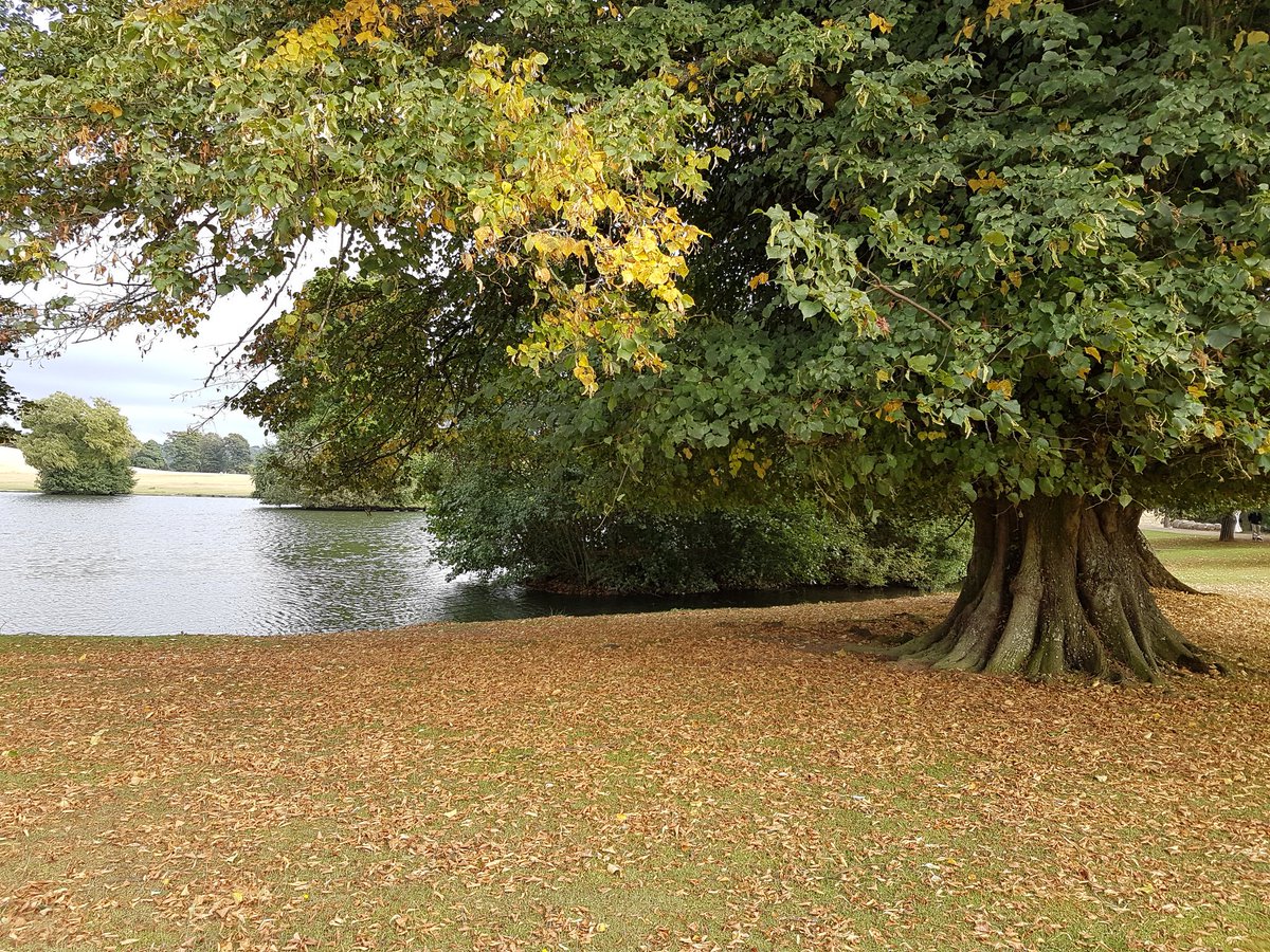 catecawley's tweet photo. #AutumnalEquinox. When night and day stand equal in duration, #nature is in balance, a #time of #harvest and celebration #FolkloreThursday https://t.co/wngzKlKyMx