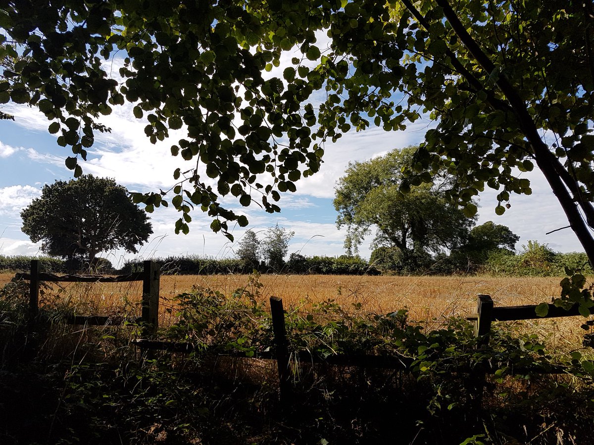 catecawley's tweet photo. #AutumnalEquinox. When night and day stand equal in duration, #nature is in balance, a #time of #harvest and celebration #FolkloreThursday https://t.co/wngzKlKyMx
