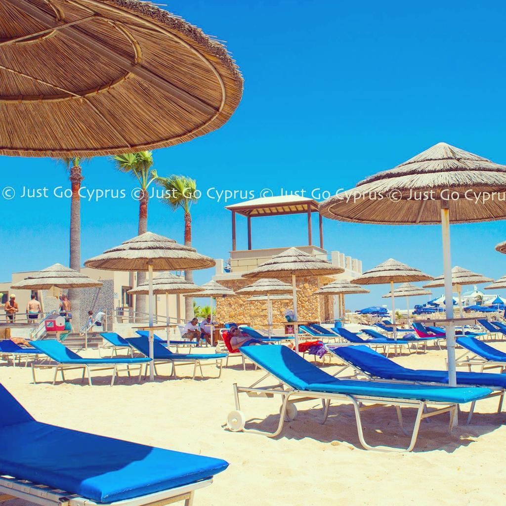 JustGoCyprus's tweet photo. Choose your spot in the sun! Good morning everyone! ☀ 🌴#CYPRUS https://t.co/qHvBt4vxfQ