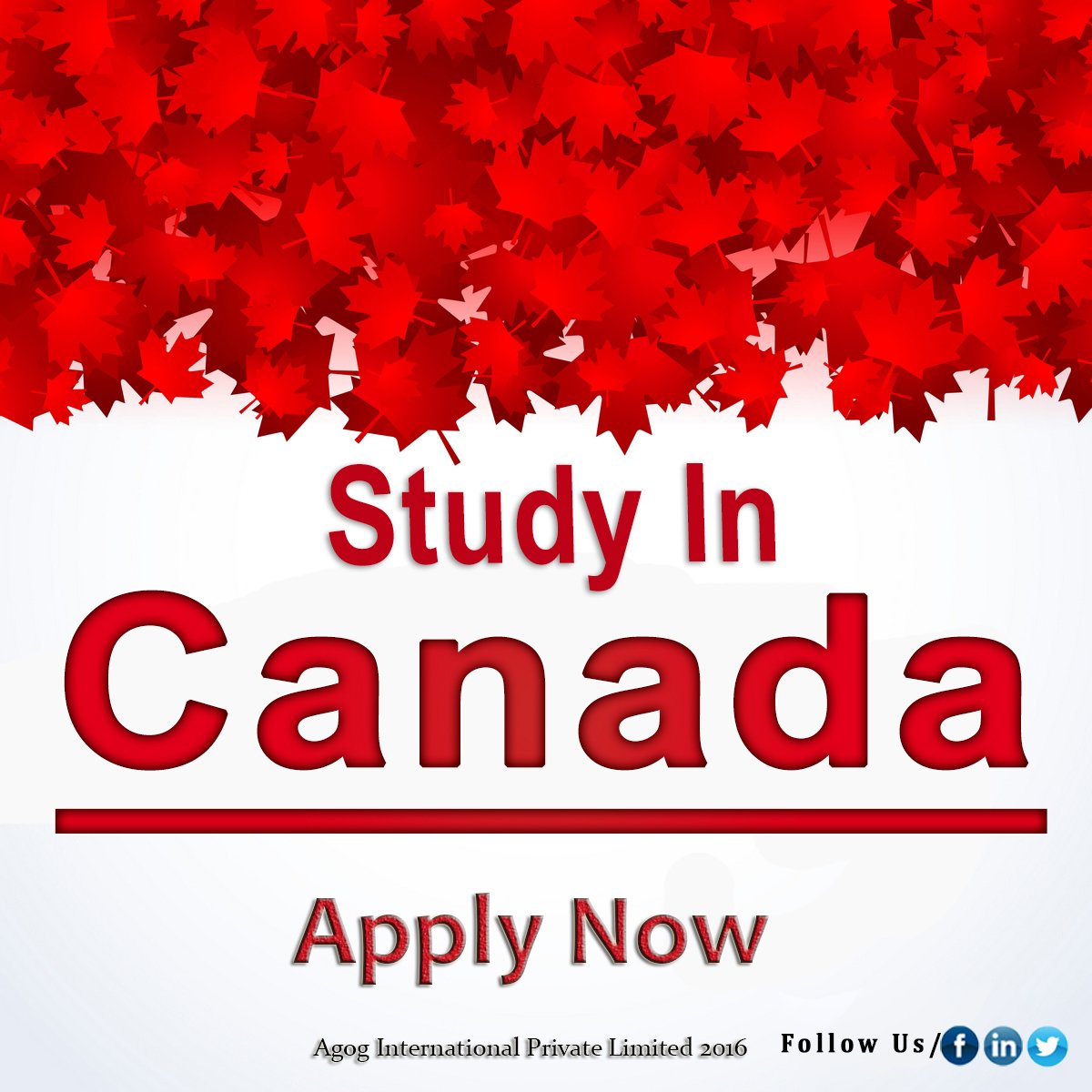 AgogIntl's tweet photo. #StudyAbroad #StudyInCanada #TopRankingInstitutes #Intakes #ApplyNow #NoConsultationFee #ForStudents #ContactUs #AgogIntl
@AnahittaAMian https://t.co/6CTfT1GlpL