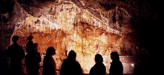 The Radclyffe School tweet media