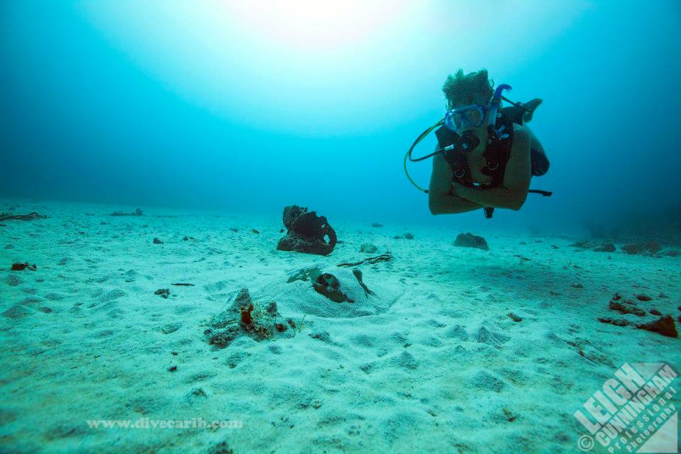 SailingAntigua's tweet photo. Do you fancy diving whilst in Antigua @divecarib, as well as sailing? Find info at our dive shop https://t.co/Wxh4mrgeBL https://t.co/pWOXL6Tnqj