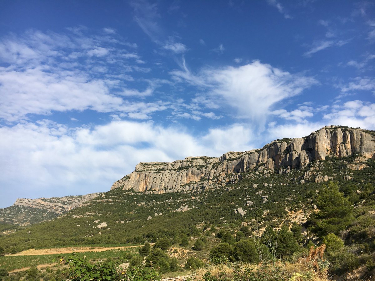 Obrim la paradeta! Educació Cultural i Ambiental a peus del Parc Natural de la Serra de Montsant! Descobreix-nos a ecamontsant.cat