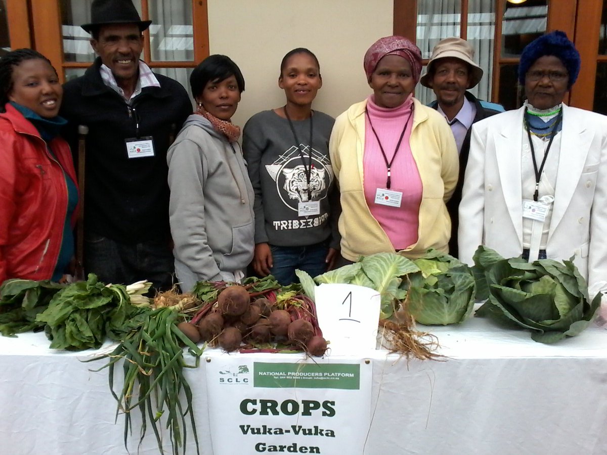 sclctrust's tweet photo. @sclctrust #NPP2016 #PoliticsOfProduction, community garden project "Vuka Vuka", manning their station https://t.co/8YrlXWOlgq