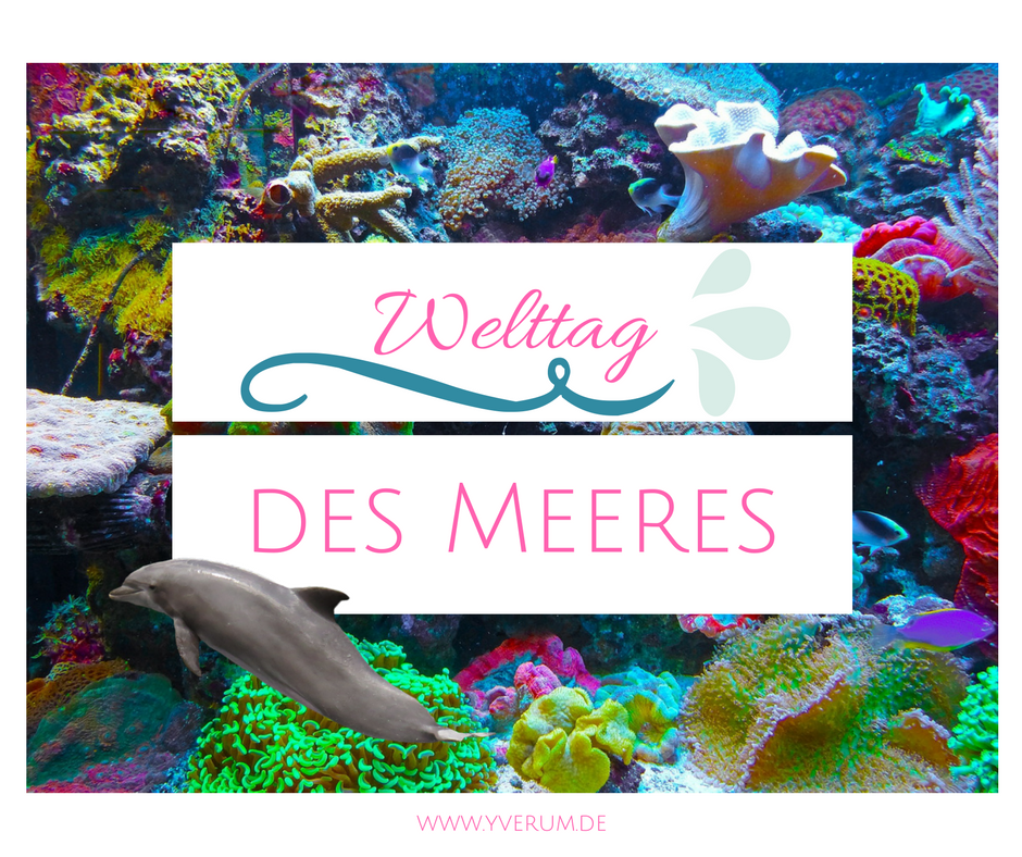 Wale, die senkrecht im Wasser schlafen &amp; mehr zum #WelttagdesMeeres ab sofort auf unserem Blog! #yverum #Naturkosmetik #Umweltschutz #vegan