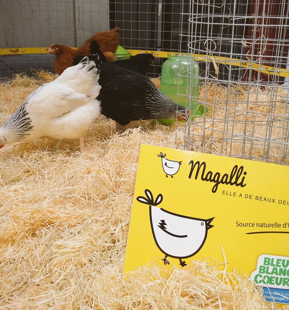 BleuBlancCoeur's tweet photo. Les poules @MagalliPoules sont présentes avec #BleuBlancCoeur au #Ministère de l'Économie et des Finances @_Bercy_ ! https://t.co/HhIohHxUPD